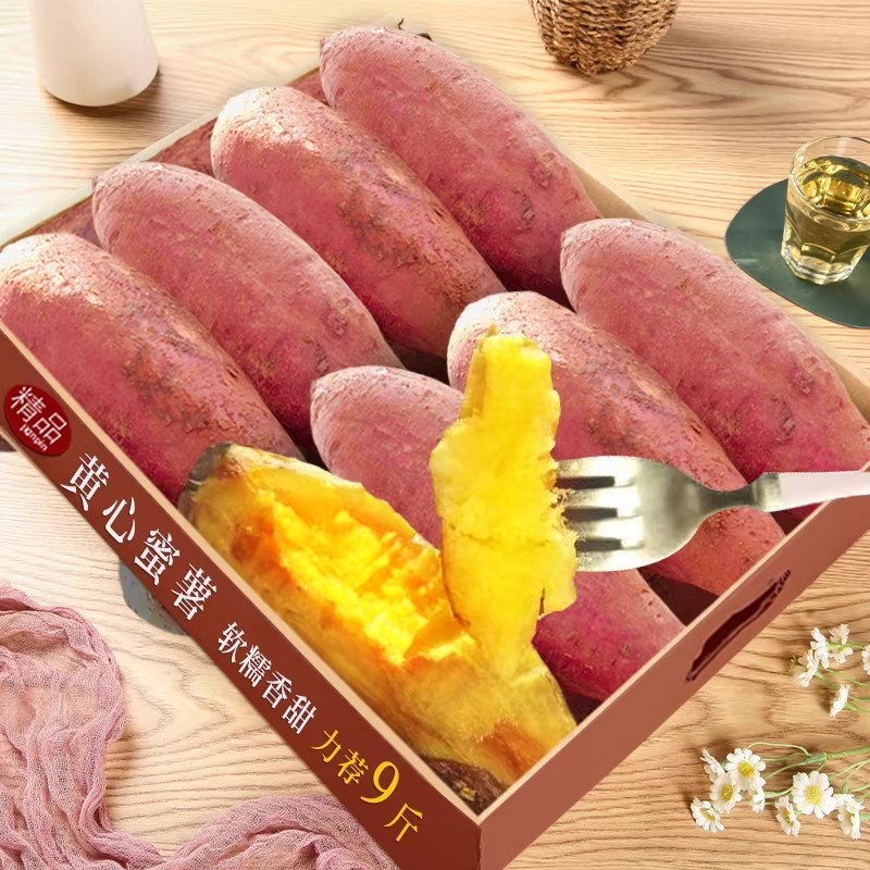 严选沙地龙九蜜薯红薯番薯糖心新鲜黄心烤地瓜山芋农家自种粗粮