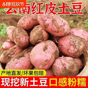 當季 包郵 云南紅皮黃心土豆新鮮農家粉糯現挖馬鈴薯9斤