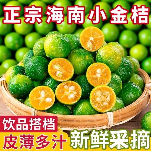 海南小金桔新鲜水果青金桔小青柠当季奶茶店专用包邮鲜果食物皮薄