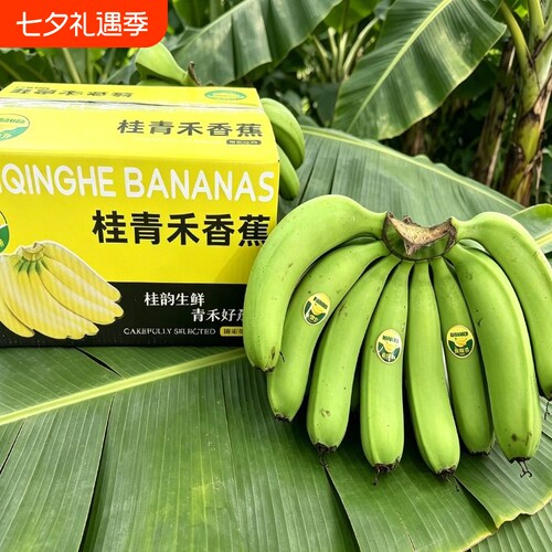高山香蕉新鲜威廉斯香蕉当季新鲜水果薄皮自然熟整箱批发包邮