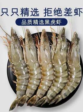 鲜活速冻特大号虎头虾海鲜水产虾竹节虾活虾野生黑虎虾超大新鲜