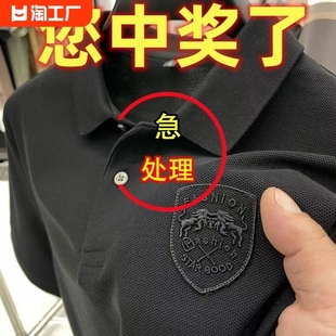 t恤男士 夏季 冰丝polo衫 上衣服 短袖 半袖 t有领体恤男生翻领刺绣夏装