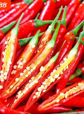 新鲜现摘小米椒特辣5斤批发直发朝天椒指天椒剁椒红米椒红小米椒