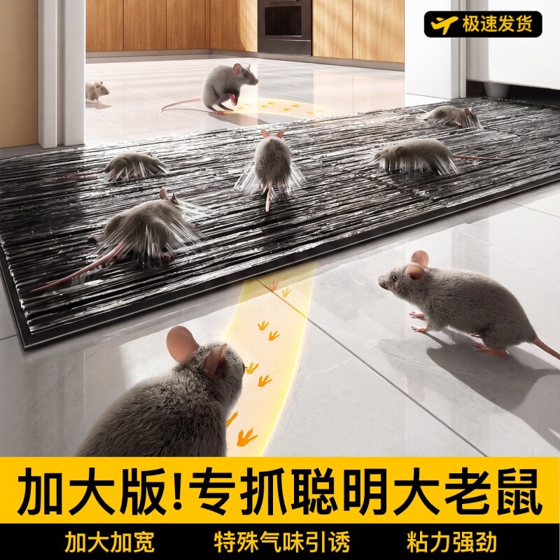 超强力粘老鼠贴胶板家用捕捉神器新型加大加厚一窝全锅端厨房捕鼠