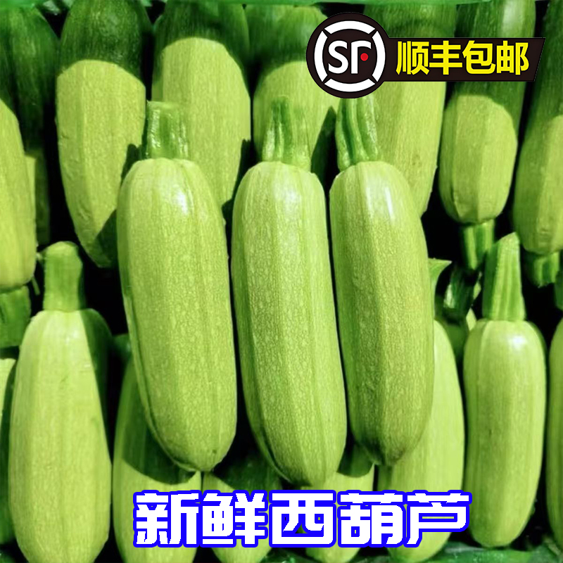 新鲜西葫芦东北产地茭瓜角瓜蔬菜应季新鲜农家菜火锅配菜顺丰可选