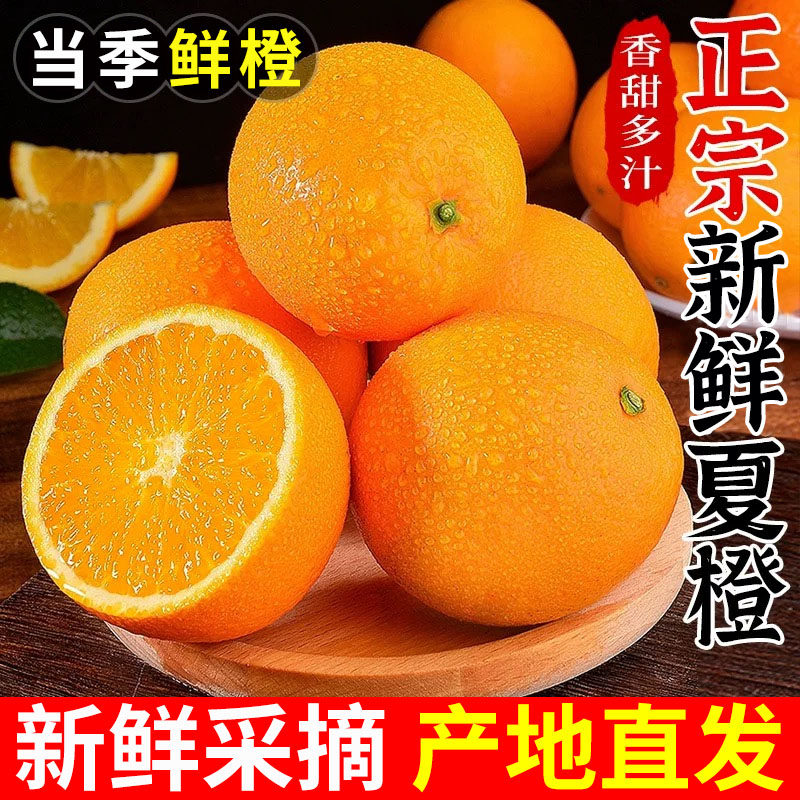 秭归夏橙脐橙子湖北手剥橙果冻甜橙整箱橙子水果新鲜应当季水果图片