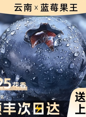 云南蓝莓JD次日达L25花香高山超大果新鲜水果甄选自提鲜果一颗