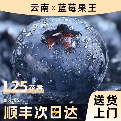 云南蓝莓JD次日达L25花香高山超大果新鲜水果甄选自提鲜果一颗