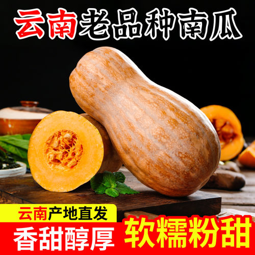 正宗红土新鲜云南蜜本老南瓜农家自种宝宝辅食软糯面甜老品种南瓜