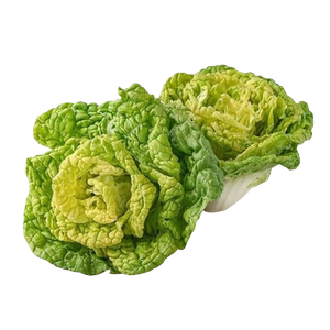 黄心乌塌菜种籽菜冬季蔬菜淮南雪里金花乌菜种子孑播种开花种植