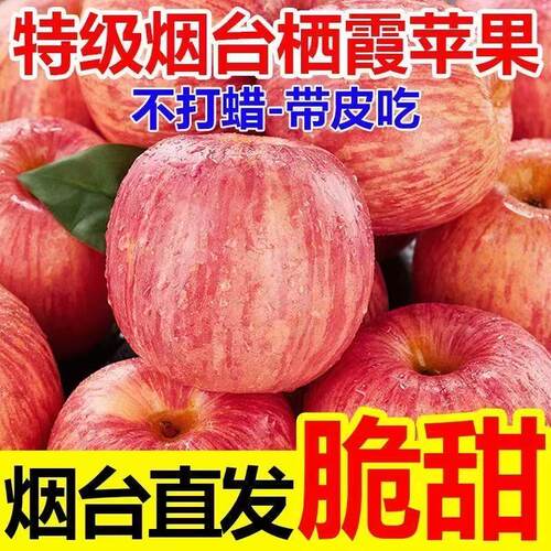 正宗山东烟台红富士苹果新鲜水果应当季栖霞苹果脆甜多汁产地直发