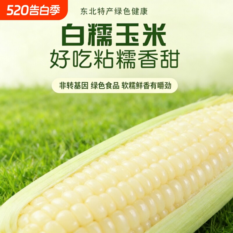 白糯玉米甜糯玉米东北白糯玉米真空装加热即食新鲜玉米棒代餐粗粮