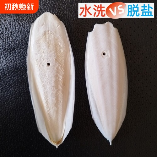 水洗墨鱼骨原料打孔鹦鹉类啃咬用品爬宠类磨牙磨嘴纯天然乌贼骨新