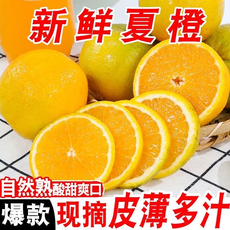 当季现摘新鲜橙子酸甜多汁桂林高山夏橙应季孕妇水果榨汁专用包邮