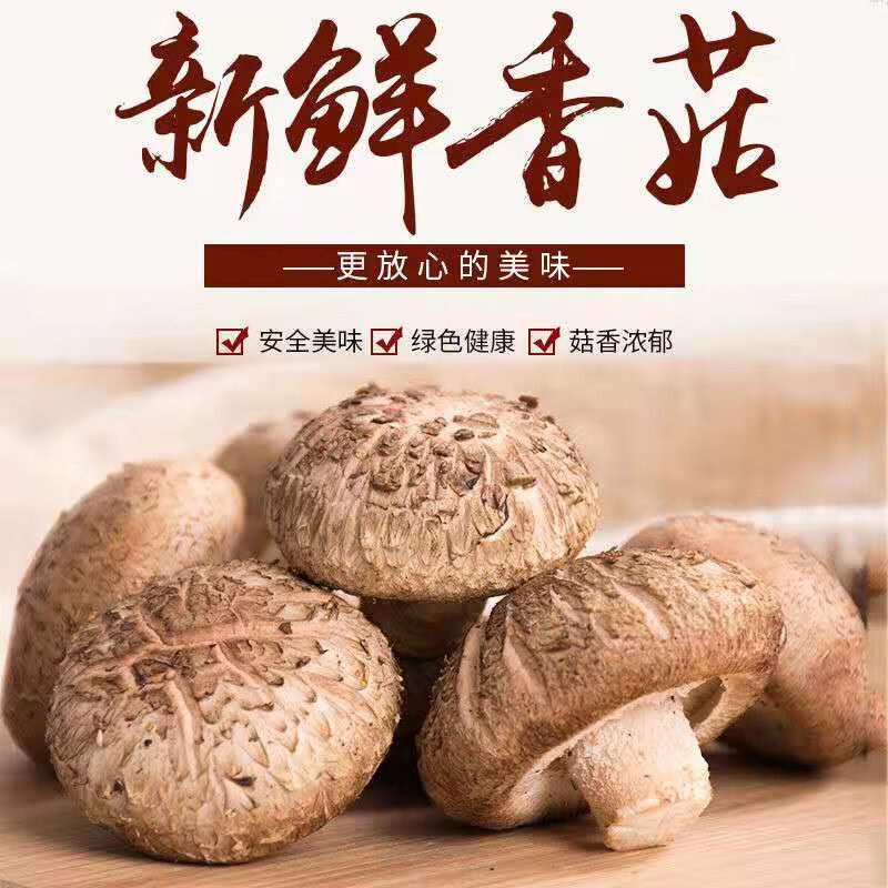 椴木生鲜香菇菌子蘑菇新鲜湿香菇菌菇拼盘炒菜下饭菜煲汤火锅食材,水产肉类/新鲜蔬果/熟食,新鲜松茸/菌菇,淘宝优惠券,粉丝福利购,淘宝优惠卷