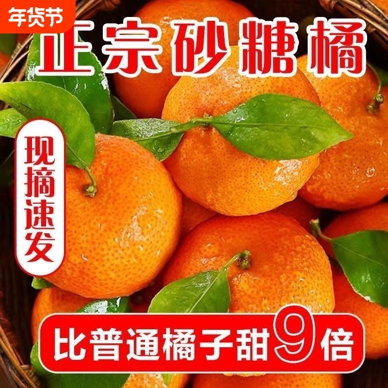爆汁正宗广西砂糖橘子新鲜无籽沙糖桔柑橘水果当季现摘纯甜年货节,水产肉类/新鲜蔬果/熟食,桔子,淘宝优惠券,粉丝福利购,淘宝优惠卷