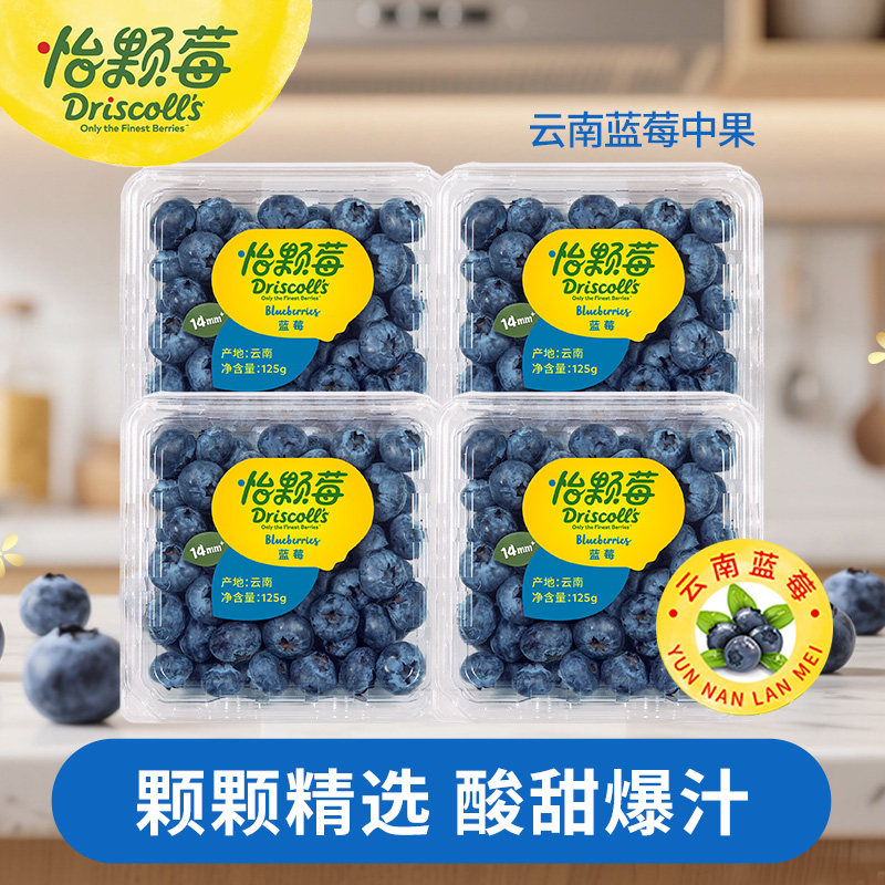 怡颗莓Jumbo云南蓝莓新鲜水果花青素125g/盒顺丰包邮农场浆果食物