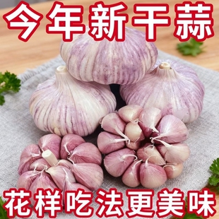 【特大干蒜】山东金乡紫白皮大蒜头新鲜干蒜多瓣蒜优质干蒜批发