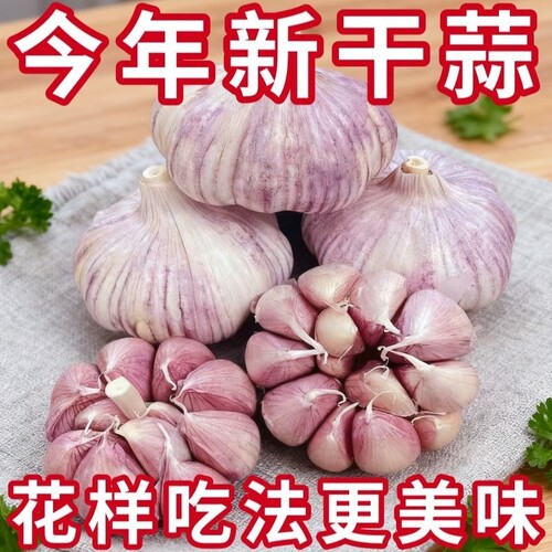 【特大干蒜】山东金乡紫白皮大蒜头新鲜干蒜多瓣蒜优质干蒜批发