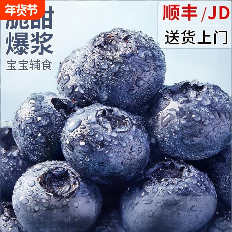 花觅蓝大理蓝莓云南超甜蓝莓鲜果 当季限量新鲜L25花香大蓝莓顺丰