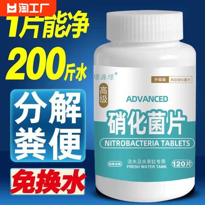 硝化细菌鱼缸净水剂养鱼用品水族鱼清澈剂水质观赏鱼硝化菌片除氯