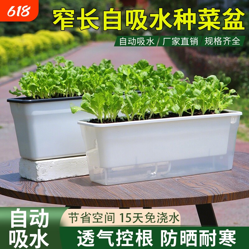 种葱阳台种菜盆蔬菜专用种植箱超窄窗沿边长方形花盆透明懒人神器