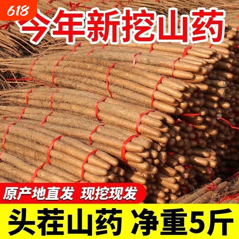 正宗河南焦作温县垆土铁棍铁杆淮山怀山药新鲜5斤特产整箱准铁桂