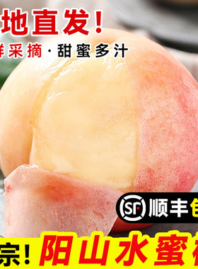 正宗无锡阳山水蜜桃整箱新鲜现摘水果礼盒湖景白凤毛包邮西瓜采摘