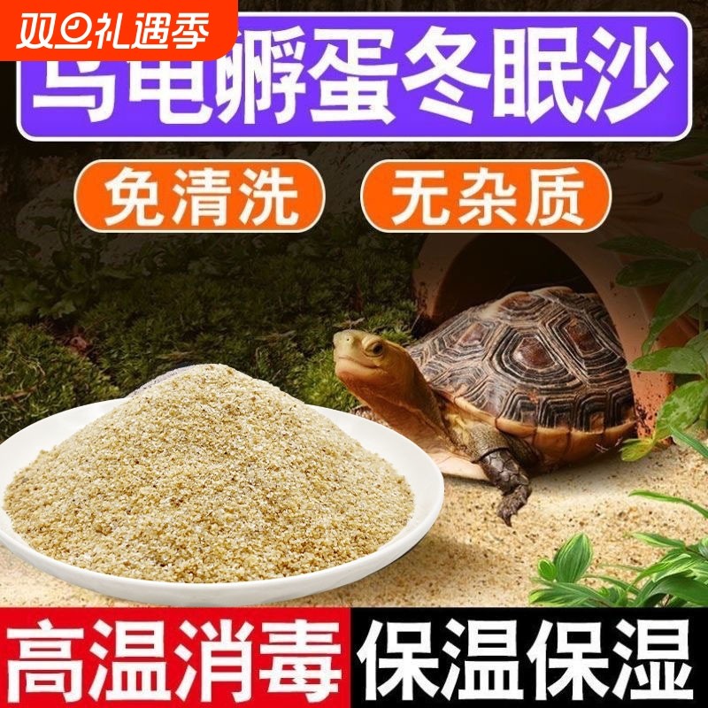 乌龟冬眠孵化产蛋细沙子龟缸造景装饰巴西龟铺底专用石头河沙苔藓