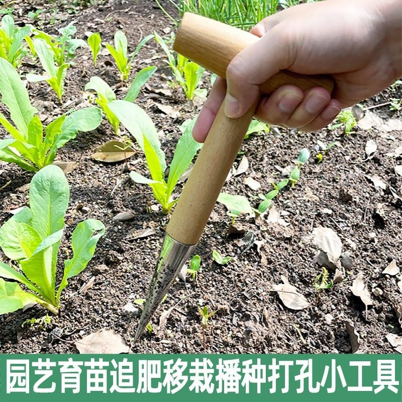 菜地园林播种打洞器移苗追肥实木柄园艺种菜育苗种花播籽工具种苗