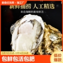 5斤乳山生蚝鲜活新鲜特大海蛎子海鲜牡蛎水产整箱商用批发