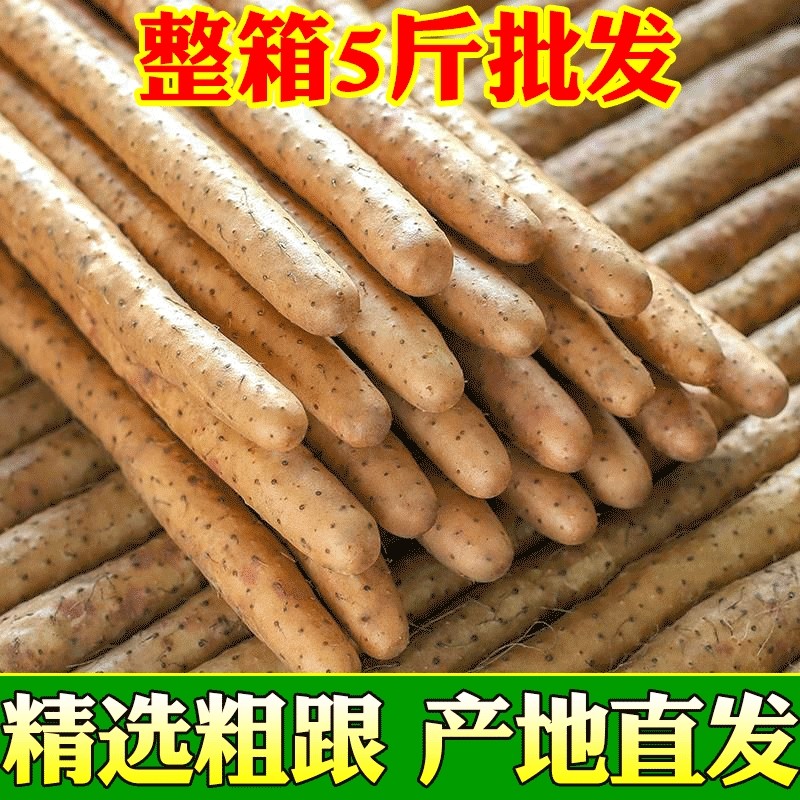 粉糯铁棍山药山药小白嘴山药粗款香面新鲜蔬菜山药多规格包邮