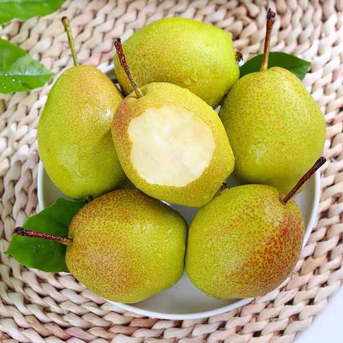 当季现发红香酥梨皮薄多汁香甜脆甜无渣小香梨当季孕妇水果包邮