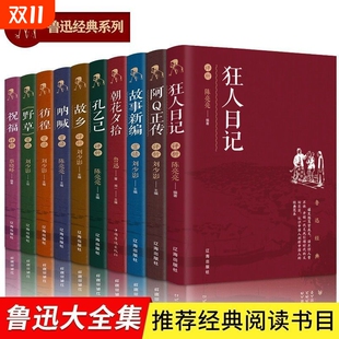 狂人日记正版 系列书集原著朝花夕拾呐喊散文集野草故乡书 鲁迅经典