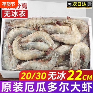 厄瓜多尔白虾大虾盐冻2030鲜活速冻南美白虾基围虾海鲜水产年货节