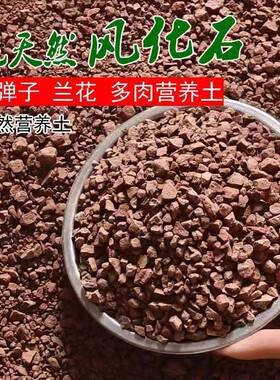 天然风化石风化土红土颗粒沙盆景专用土黄杨金弹子生根土兰花绿植