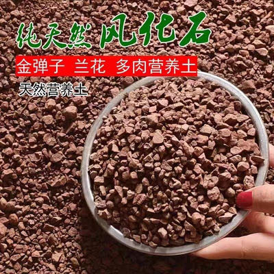 天然风化石风化土红土颗粒风化沙盆景专用土黄杨金弹子专用生根土