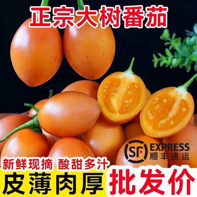 云南树番茄产地现摘直发精选洋酸茄果正宗凉拌原生态水果新鲜,水产肉类/新鲜蔬果/熟食,番茄,淘宝优惠券,粉丝福利购,淘宝优惠卷