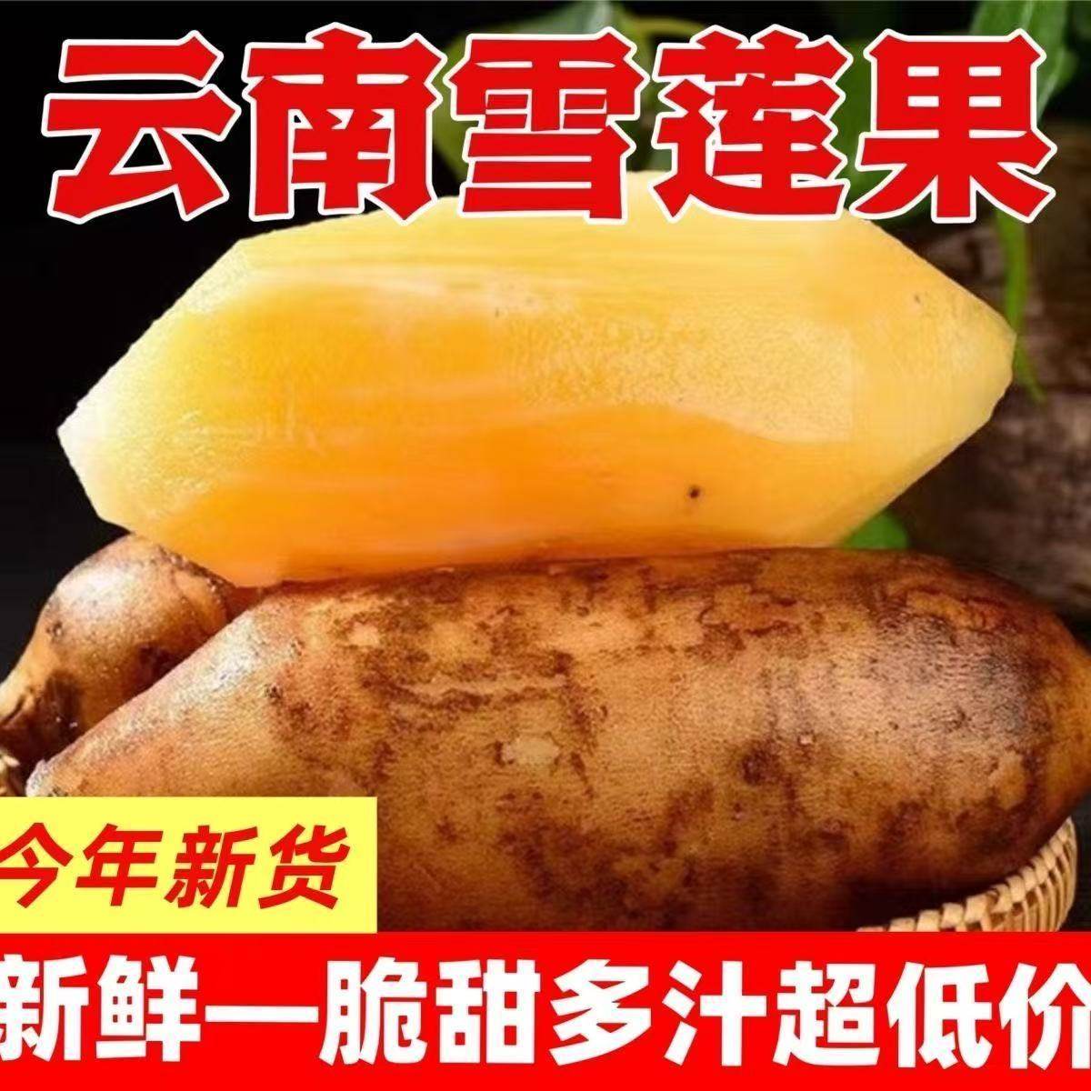 雪莲果特价低糖黄心脆甜多汁新鲜应季水果当季包邮,水产肉类/新鲜蔬果/熟食,雪莲果,淘宝优惠券,粉丝福利购,淘宝优惠卷