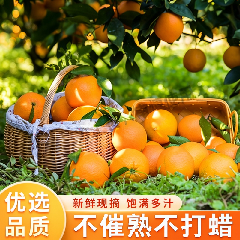 正宗江西赣南脐橙10斤新鲜水果赣州瑞金直发当季果冻橙手剥甜橙子