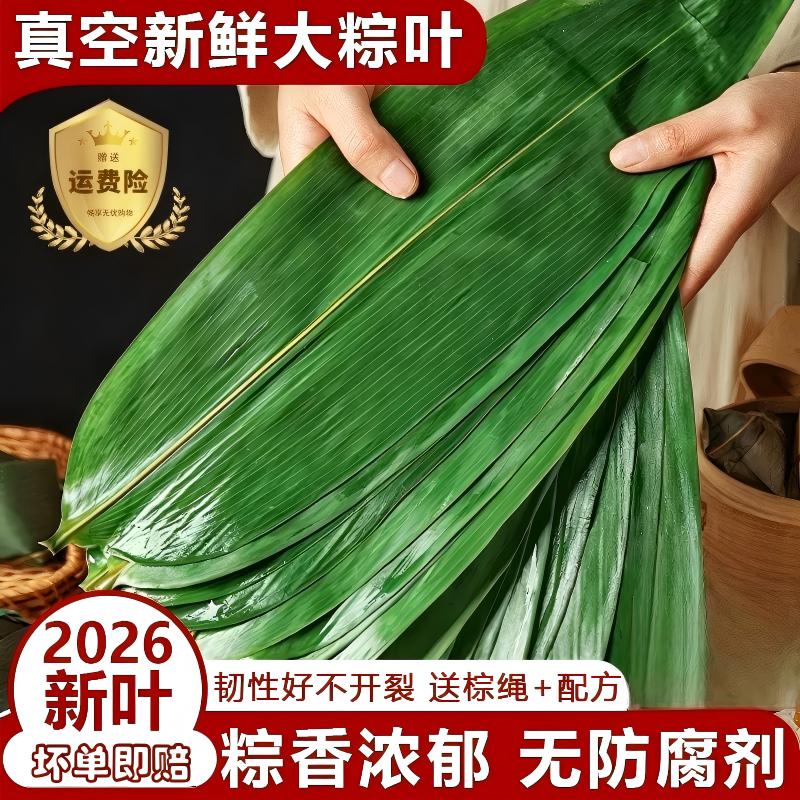 粽子叶新鲜粽叶大号包粽子专用的叶子批发干粽叶大真空白米粽糯米图片