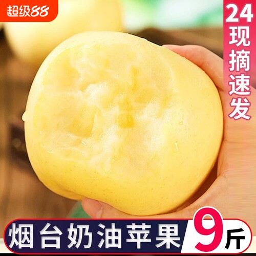 山东烟台黄金奶油富士苹果当季特级正宗新鲜现摘整箱包邮