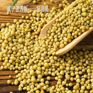 贵州威宁黄苦荞饭苦荞颗粒苦荞饭米苦荞疙瘩荞麦粗粮农家特产杂粮