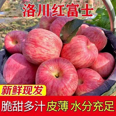 正宗洛川苹果陕西当季脆甜红富士新鲜当季现孕妇水果冰糖批发整箱
