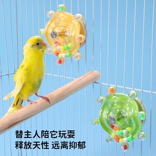 鹦鹉飞碟转转乐多彩珍珠米转轮宠物玩具解压小鸟趣味解闷啃咬玩具