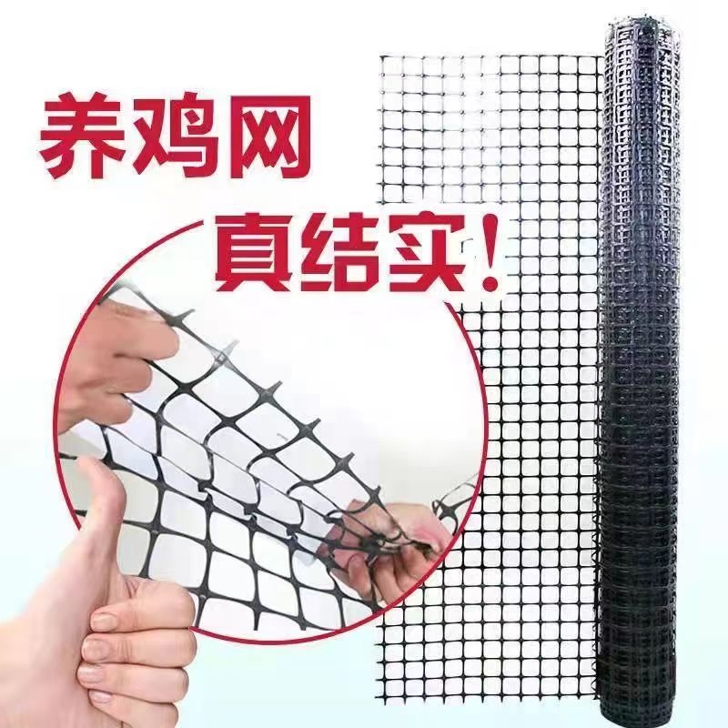 塑料围栏网养殖网养鸡鸭菜园果园