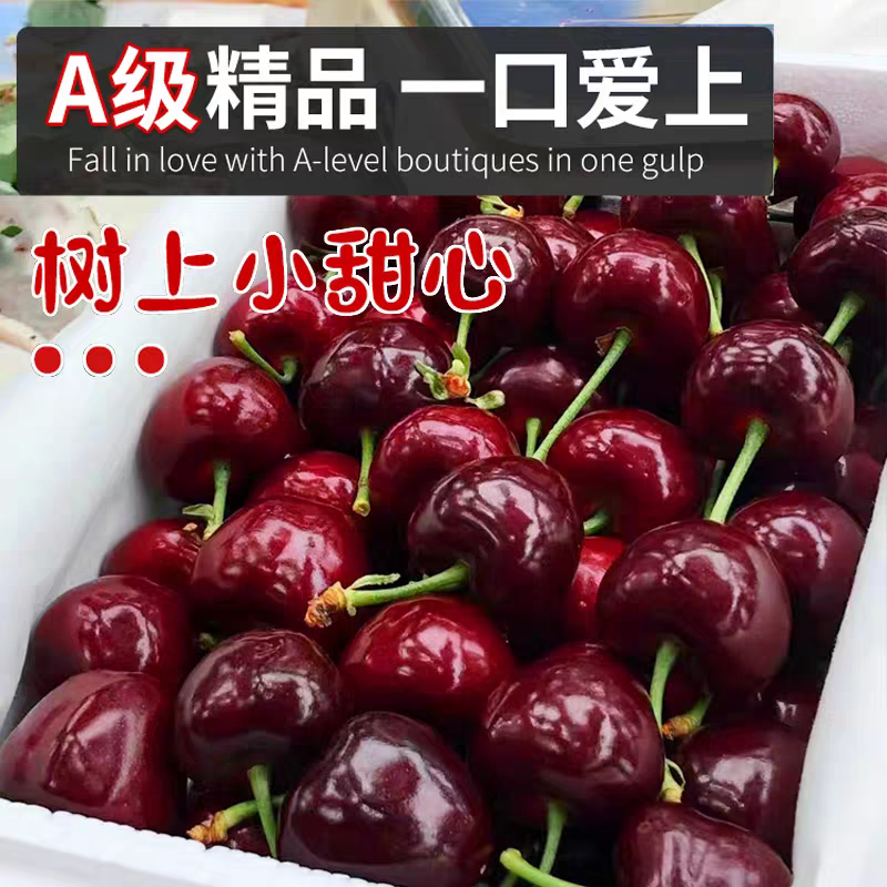 智利车厘子4J大樱桃新鲜水果孕妇整箱特大果3J礼盒顺丰发货
