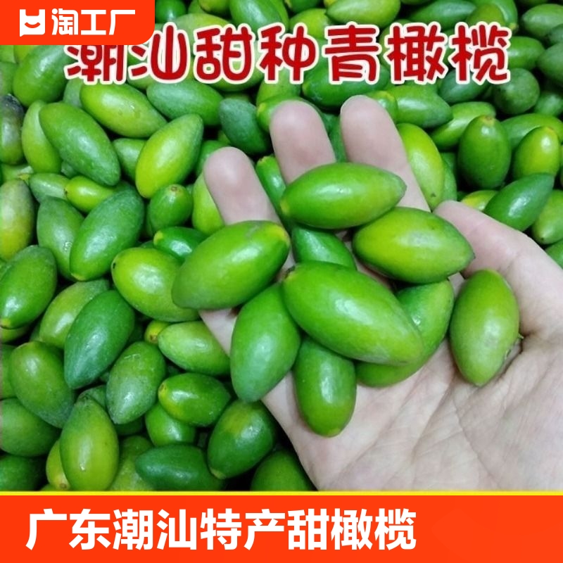 新鲜甜橄榄广东潮汕特产青枣脆橄榄现摘橄榄果生吃煲汤泡茶青橄榄