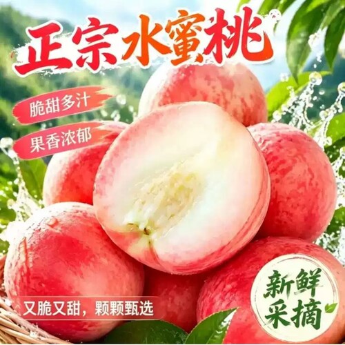水蜜桃新鲜现摘速发脆甜毛桃包邮