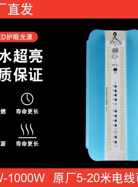 led碘钨灯工作灯1000w工地照明超亮装修灯防水太阳灯100w200w